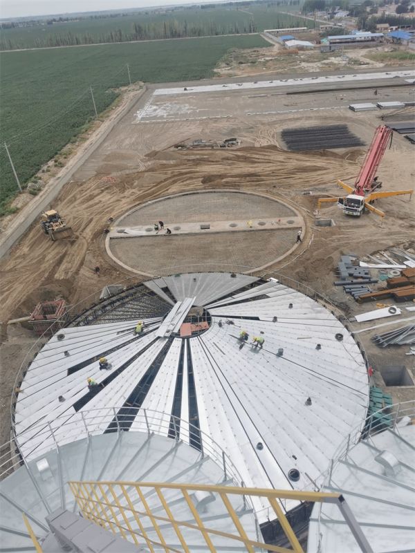 鋼板倉（cāng）成套（tào）工程